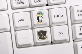 Ilustracija Svijet Linuxa - Linux operativni sistem i linux terminal (Foto: Cyber.ba)