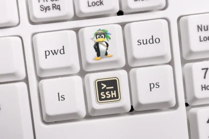 Ilustracija Svijet Linuxa - Linux operativni sistem i linux terminal (Foto: Cyber.ba)