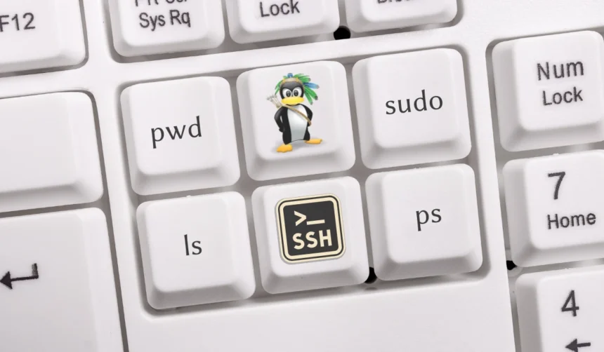 Ilustracija Svijet Linuxa - Linux operativni sistem i linux terminal (Foto: Cyber.ba)