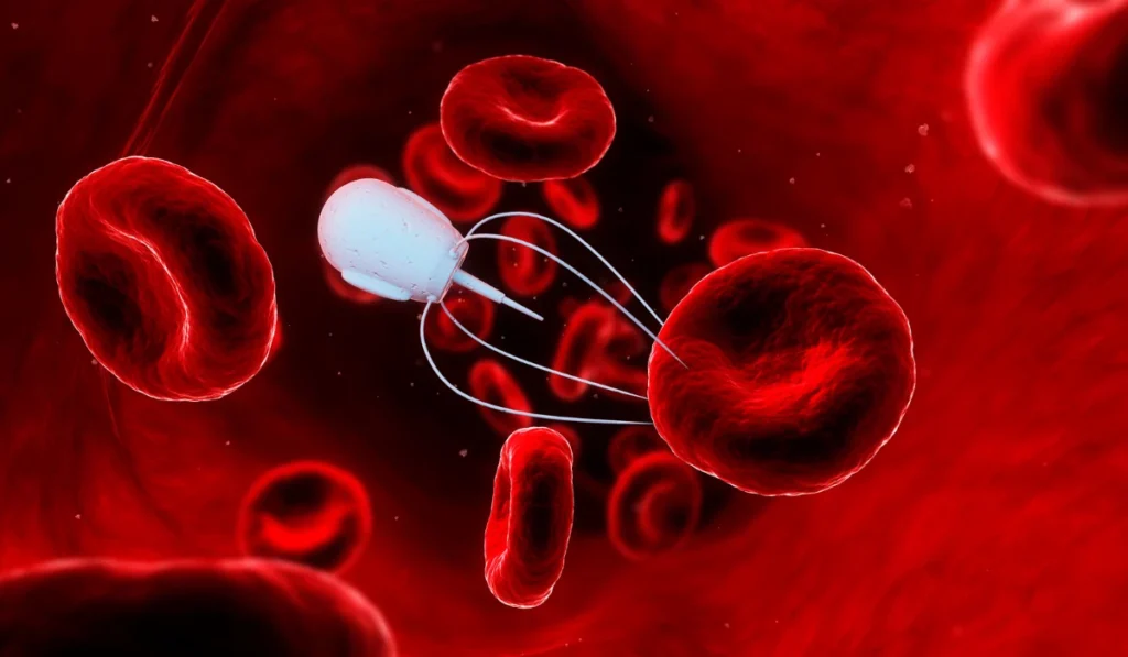 Nanoroboti za uništavanje karcinoma (Foto: Cyber.ba)