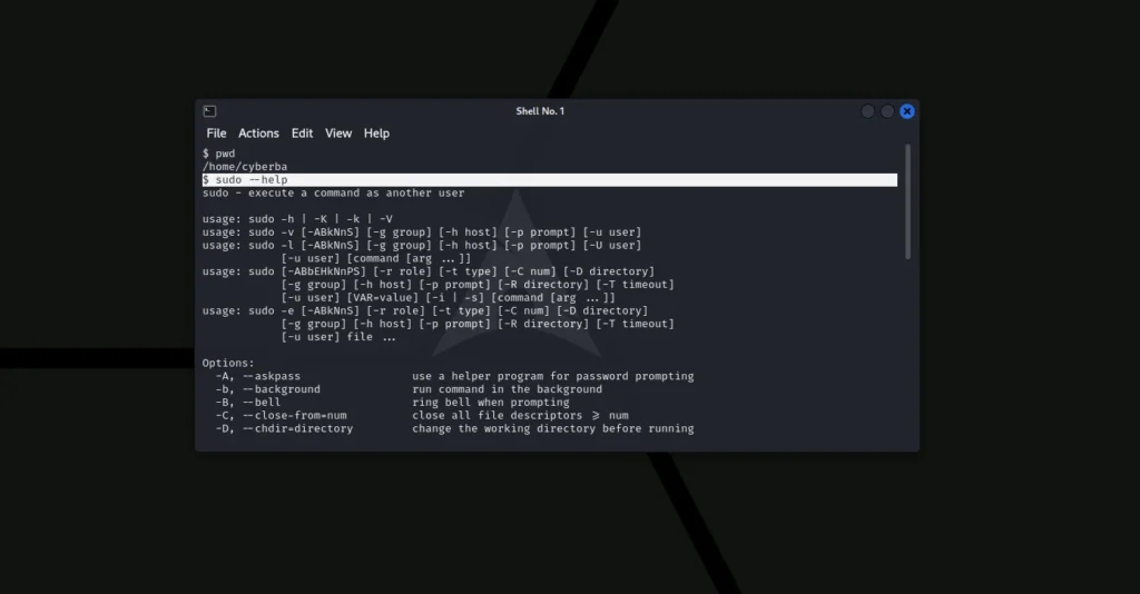 Primjer - Komande za linux terminal (Foto: Cyber.ba)