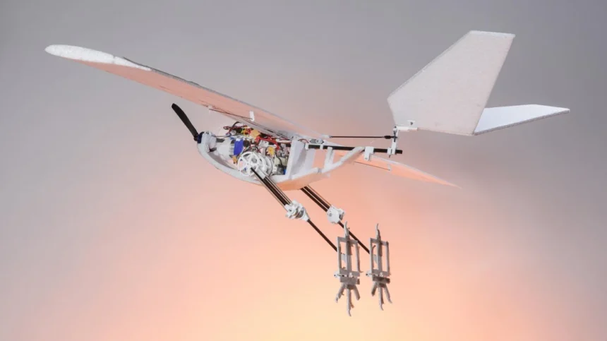 RAVEN, dronovi, dron, švicarska, dron s nogama, ptice
